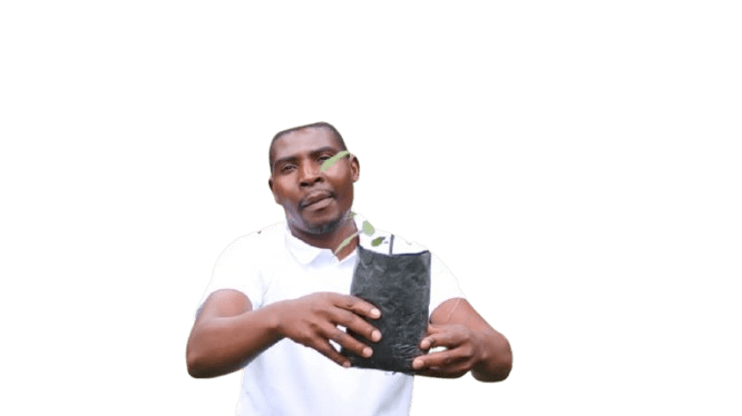 Edson Dongo